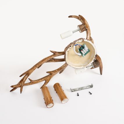 Brilagi - Sieninis šviestuvas DEER 2xE14/10W/230V, ragai