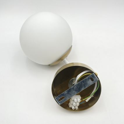 Brilagi - Sieninis šviestuvas MALIVA 1xE14/15W/230V auksinis/baltas