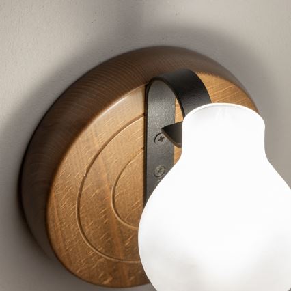 Brilagi - Sieninis šviestuvas ROATA APLICA 1xE14/40W/230V bukas/graikinis riešutas