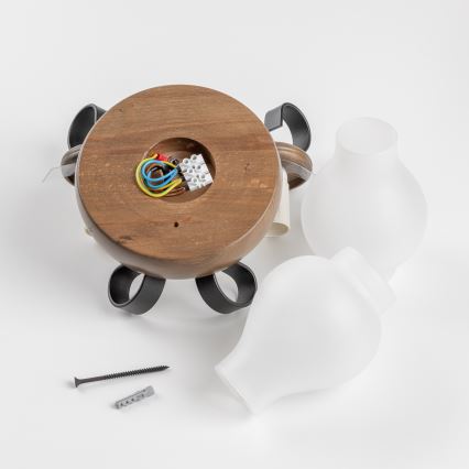 Brilagi - Sieninis šviestuvas ROATA APLICA 2xE14/40W/230V bukas/graikinis riešutas