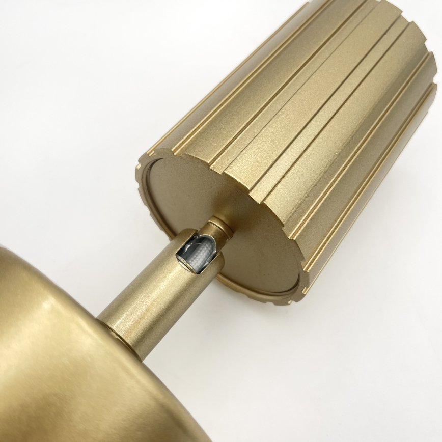 Brilagi - Sieninis taškinis šviestuvas CRISPINA 1xGU10/10W/230V auksinis