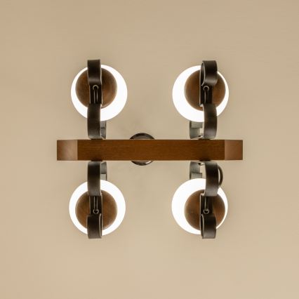 Brilagi - Sietynas, kabinamas ant grandinės QUEEN 4xE14/40W/230V bukas/graikinis riešutas