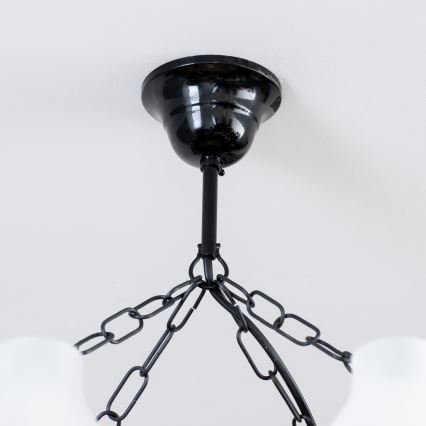 Brilagi - Sietynas, kabinamas ant grandinės QUEEN 8xE14/40W/230V bukas/graikinis riešutas