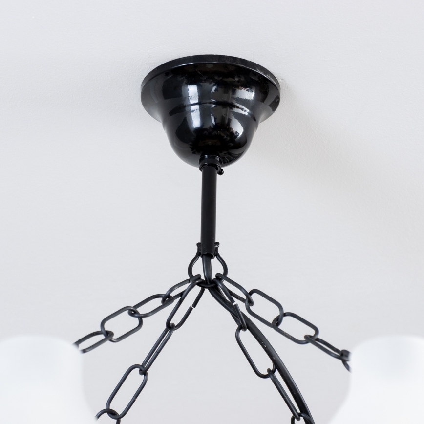 Brilagi - Sietynas, kabinamas ant grandinės QUEEN 8xE14/40W/230V bukas/graikinis riešutas