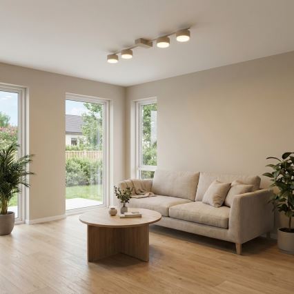 Brilagi - taškinis šviestuvas 4xGX53/12W/230V smėlinis