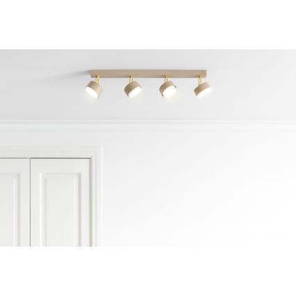 Brilagi - taškinis šviestuvas 4xGX53/12W/230V smėlinis