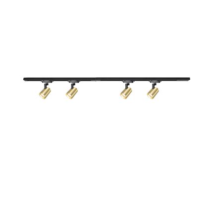 Brilagi - Taškinis šviestuvas ant bėgelio HUSKY 4xGU10/10W/230V juoda/auksinė