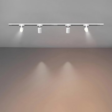 Brilagi - Taškinis šviestuvas bėgelių sistemoje HUSKY 4xGU10/10W/230V baltas