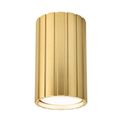 Brilagi - Taškinis šviestuvas CRISPINA 1xGU10/10W/230V 10 cm auksinis