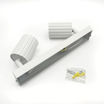 Brilagi - Taškinis šviestuvas CRISPINA 2xGU10/10W/230V baltas