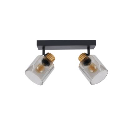 Brilagi - Taškinis šviestuvas HYGGE 2xE14/15W/230V juoda/dūminė