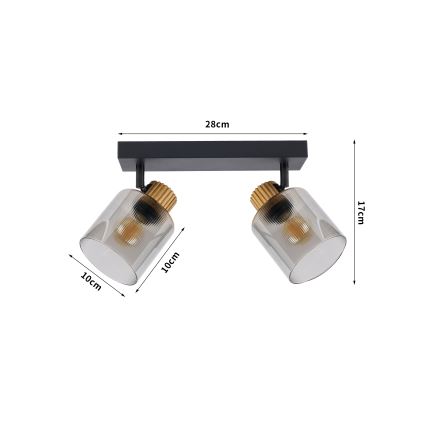 Brilagi - Taškinis šviestuvas HYGGE 2xE14/15W/230V juoda/dūminė
