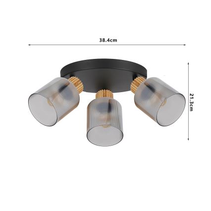 Brilagi - Taškinis šviestuvas HYGGE 4xE14/15W/230V juodas/dūminis
