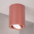 BRILAGI - Taškinis šviestuvas MIA 1xGU10/30W/230V 100x80 mm rudas