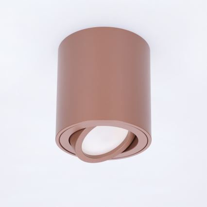 BRILAGI - Taškinis šviestuvas MIA 1xGU10/30W/230V 84x80 mm ruda
