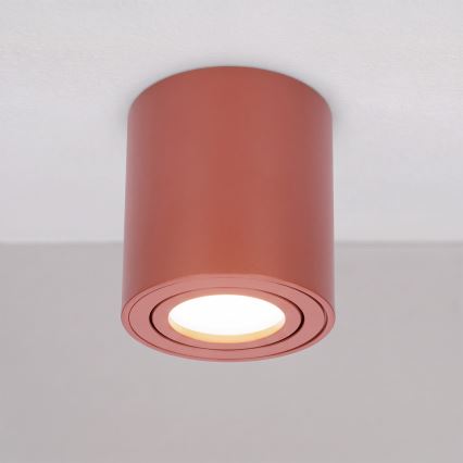 BRILAGI - Taškinis šviestuvas MIA 1xGU10/30W/230V 84x80 mm rudas