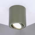 BRILAGI - Taškinis šviestuvas MIA 1xGU10/30W/230V 84x80 mm tamsiai žalias