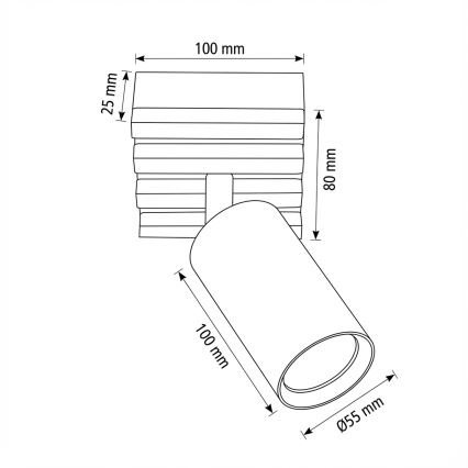 Brilagi - Taškinis šviestuvas SELE WOOD 1xGU10/30W/230V juodas/medis