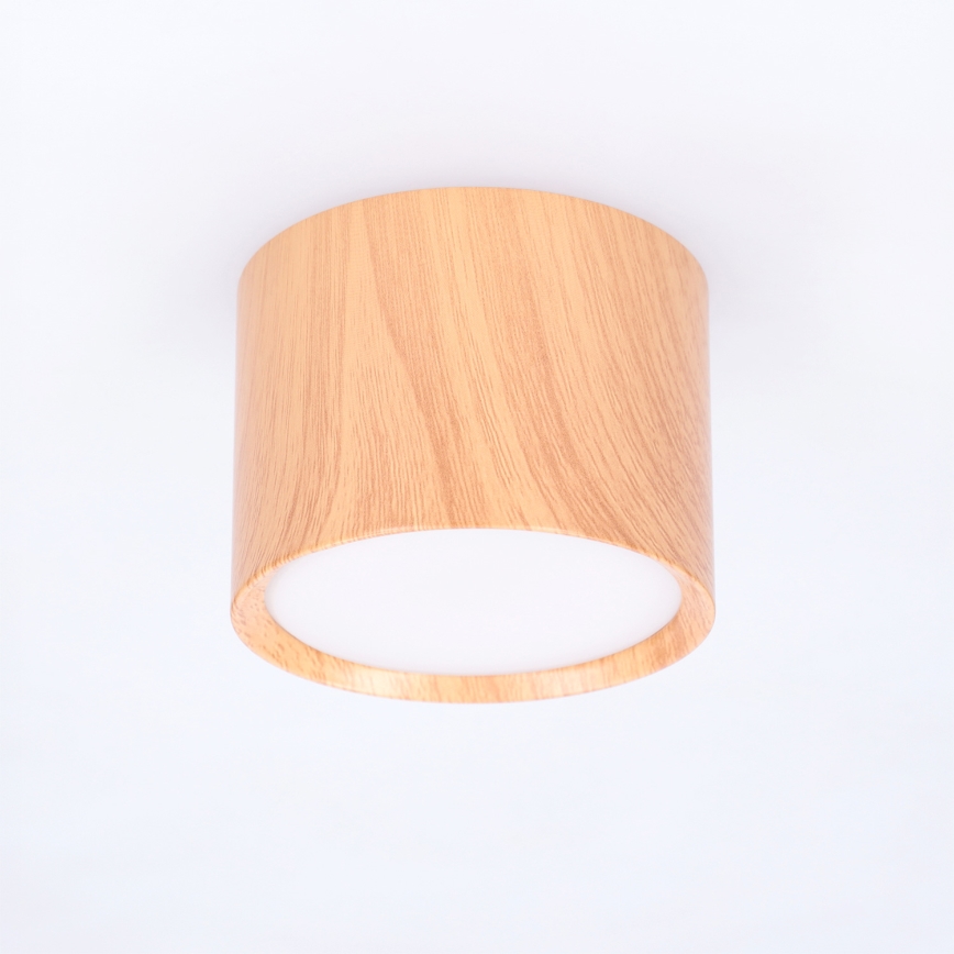 BRILAGI - Taškinis šviestuvas SMOOTH 1xGX53/15W/230V 60x82 mm ąžuolo dekoras