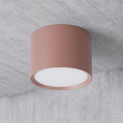 BRILAGI - Taškinis šviestuvas SMOOTH 1xGX53/15W/230V 60x82 mm rudas
