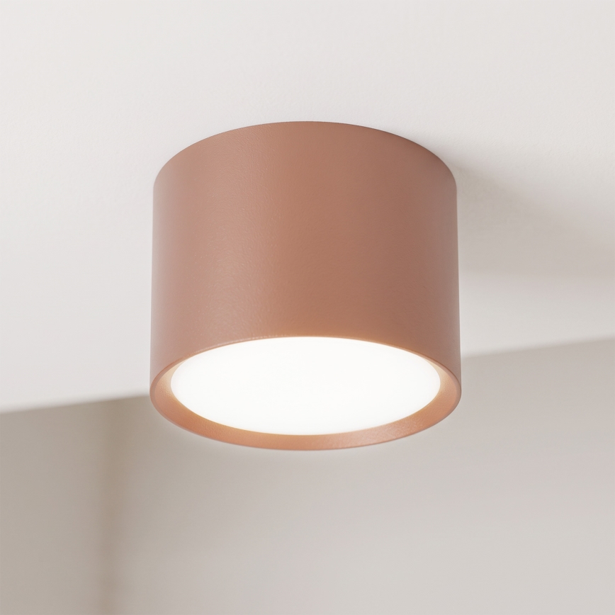 BRILAGI - Taškinis šviestuvas SMOOTH 1xGX53/15W/230V 60x82 mm rudas