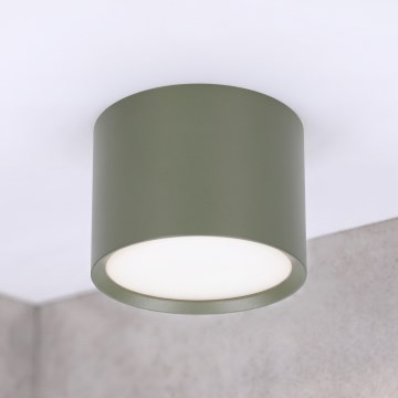 BRILAGI - Taškinis šviestuvas SMOOTH 1xGX53/15W/230V 60x82 mm tamsiai žalias