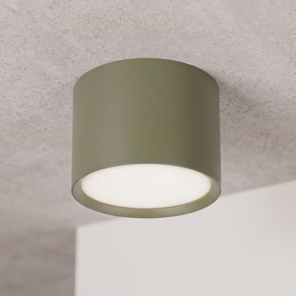 BRILAGI - Taškinis šviestuvas SMOOTH 1xGX53/15W/230V 60x82 mm tamsiai žalias
