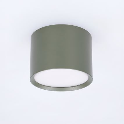 BRILAGI - Taškinis šviestuvas SMOOTH 1xGX53/15W/230V 60x82 mm tamsiai žalias