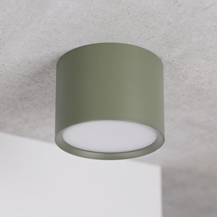 BRILAGI - Taškinis šviestuvas SMOOTH 1xGX53/15W/230V 60x82 mm tamsiai žalias