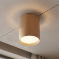 BRILAGI - Taškinis šviestuvas SMOOTH LONG 1xGX53/15W/230V 100x82 mm ąžuolo dekoras
