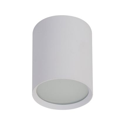 BRILAGI - Taškinis šviestuvas SMOOTH LONG 1xGX53/15W/230V 100x82 mm baltas
