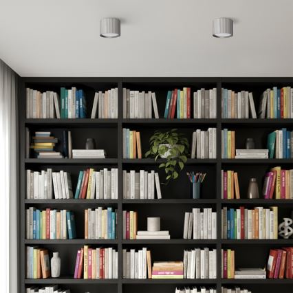 Brilagi - Taškinis šviestuvas STRIPY 1xGX53/15W/230V sidabrinis