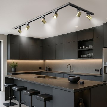 Brilagi - Taškinis šviestuvas šynų sistemoje HUSKY 6xGU10/10W/230V juoda/auksinė