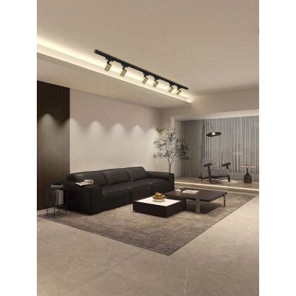 Brilagi - Taškinis šviestuvas šynų sistemoje HUSKY 6xGU10/10W/230V juoda/auksinė