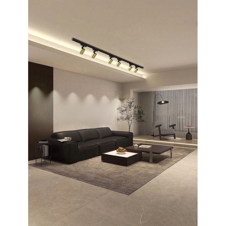 Brilagi - Taškinis šviestuvas šynų sistemoje HUSKY 6xGU10/10W/230V juoda/auksinė