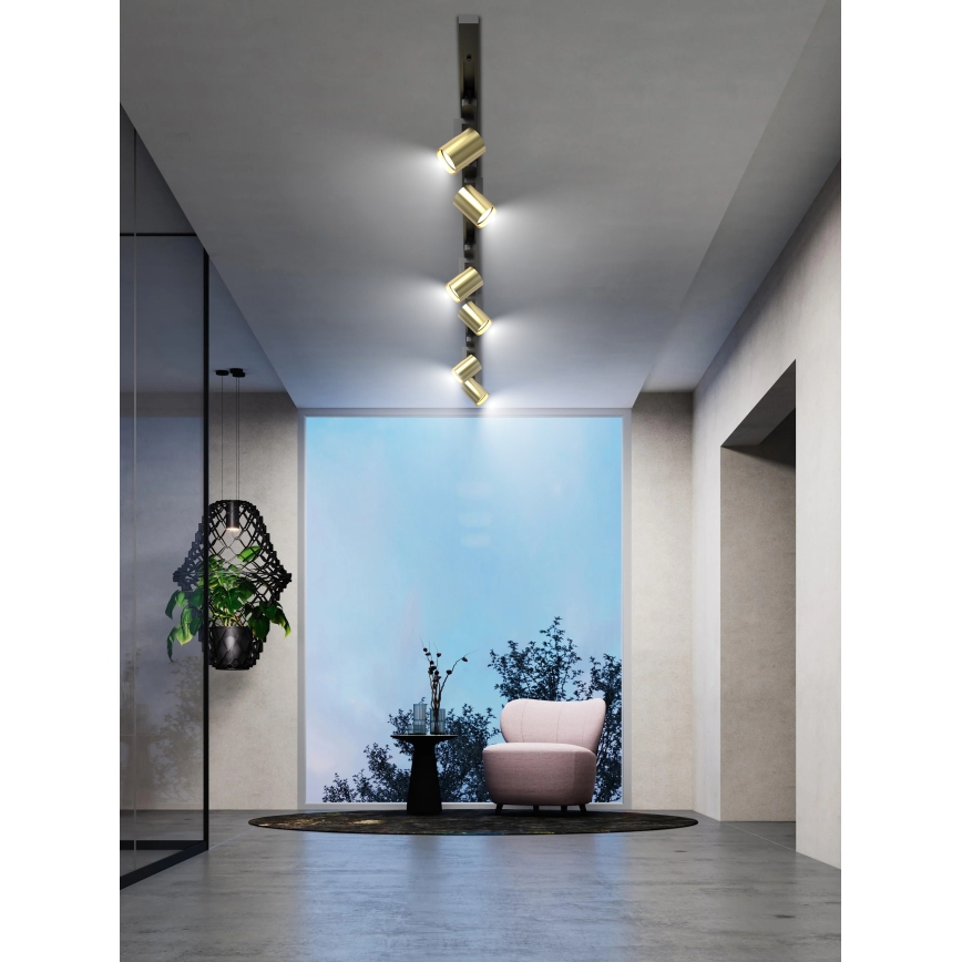 Brilagi - Taškinis šviestuvas šynų sistemoje HUSKY 6xGU10/10W/230V juoda/auksinė