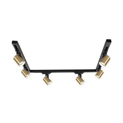 Brilagi - Taškinis šviestuvas šynų sistemoje HUSKY 6xGU10/10W/230V juoda/auksinė