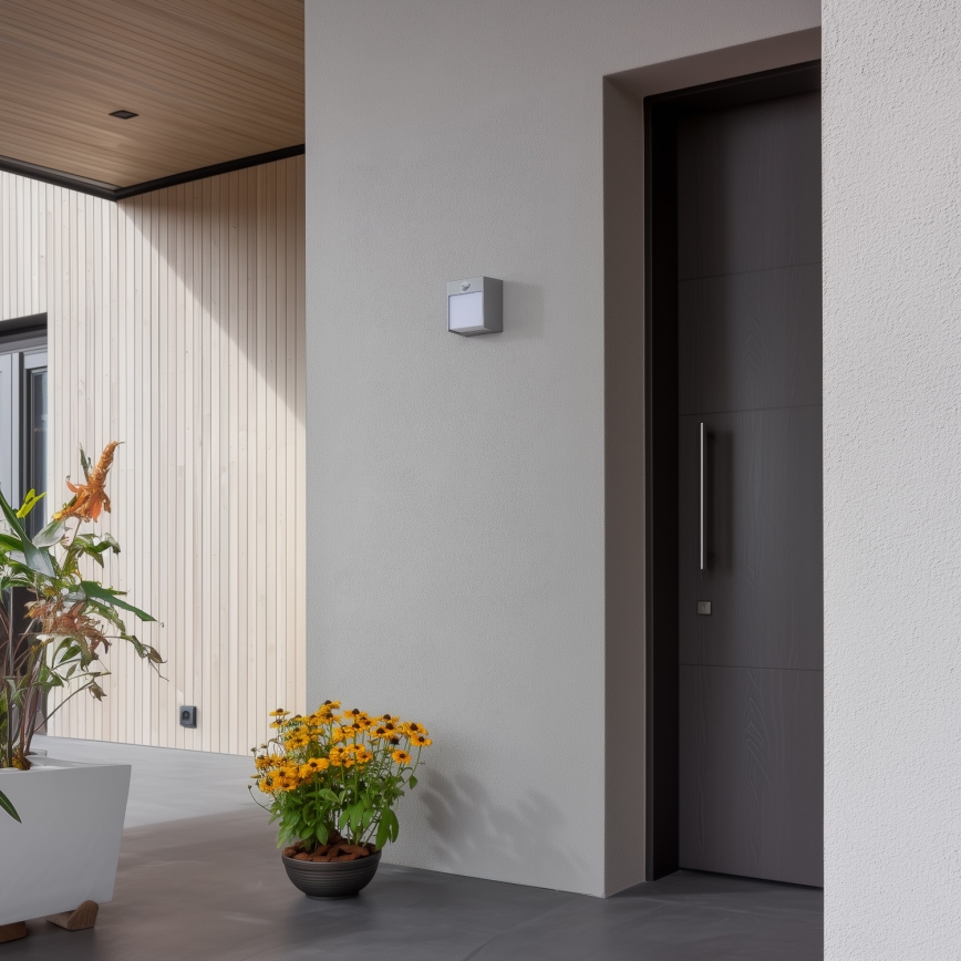 Brilagi - LED lauko sieninis šviestuvas su jutikliu TERNI LED/12W/230V pilka IP44