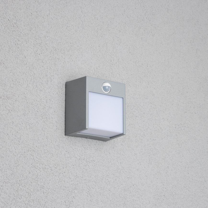 Brilagi - LED lauko sieninis šviestuvas su jutikliu TERNI LED/12W/230V pilka IP44