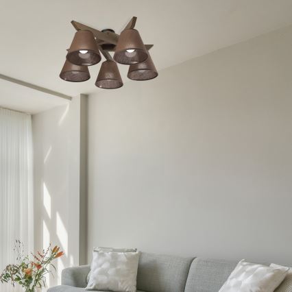 Brilagi - Tvirtinamas sietynas ANTHONY 5xE14/40W/230V ąžuolas/ruda