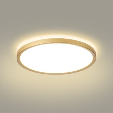 Brilagi - ULTRA SLIM LED vonios kambario lubinis šviestuvas, 24 W, 230 V, Ø 42 cm, auksinis, IP54