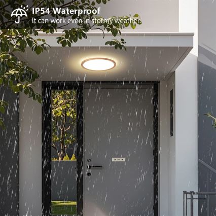 Brilagi - LED vonios kambario lubinis šviestuvas ULTRA PLONAS LED/18W/230V skersmuo 30 cm rožinio aukso IP54