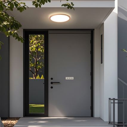 Brilagi - LED vonios kambario lubinis šviestuvas ULTRA PLONAS LED/18W/230V skersmuo 30 cm rožinio aukso IP54