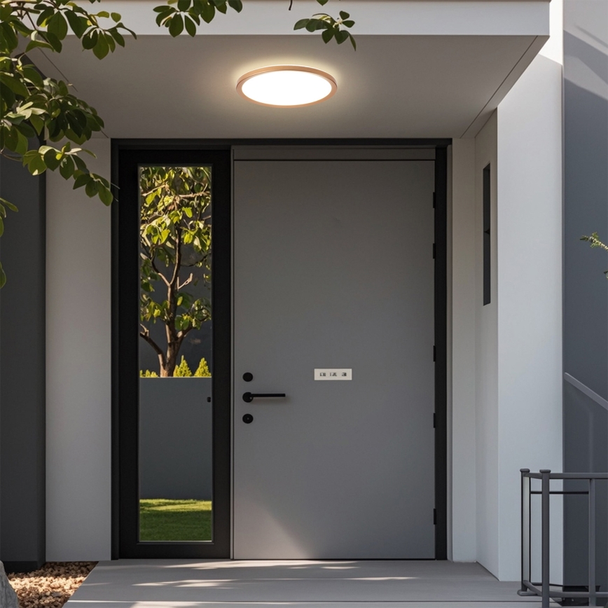 Brilagi - LED vonios kambario lubinis šviestuvas ULTRA PLONAS LED/18W/230V skersmuo 30 cm rožinio aukso IP54