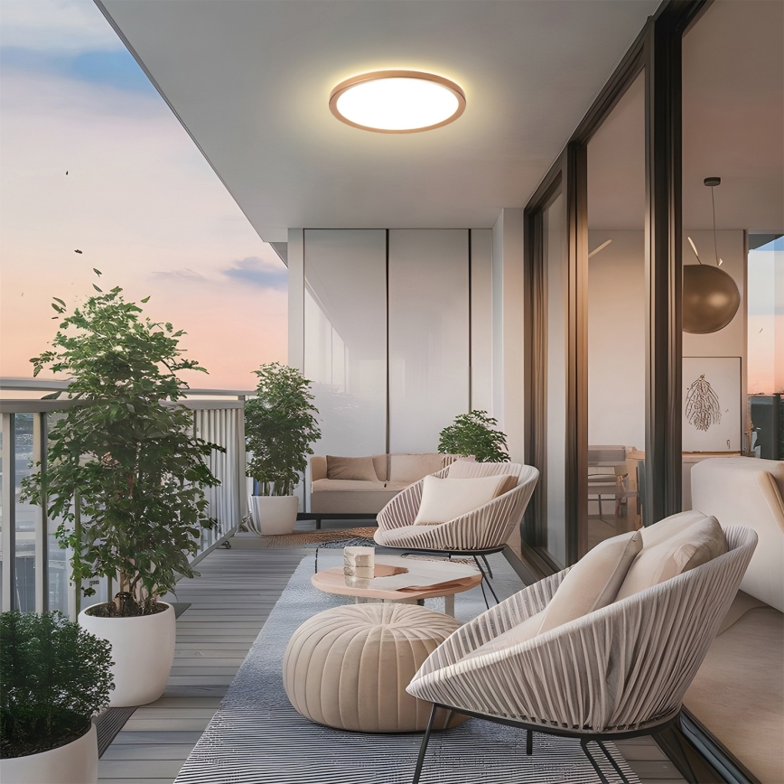 Brilagi - LED vonios kambario lubinis šviestuvas ULTRA PLONAS LED/18W/230V skersmuo 30 cm rožinio aukso IP54