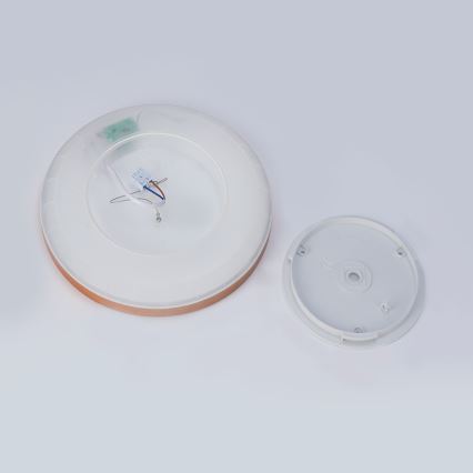 Brilagi - LED vonios kambario lubinis šviestuvas ULTRA PLONAS LED/18W/230V skersmuo 30 cm rožinio aukso IP54