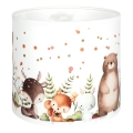 BRILAGI - Universalus BOBO E27 gaubtas Ø 15 cm, baltas / su gyvūnėlių motyvais