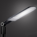 Brilagi - URBANLIGHT LED lauko gatvės šviestuvas, 250W/230V, juodas, IP65