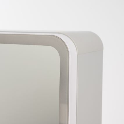 BRILAGI - Veidrodinė vonios spintelė su LED apšvietimu NOTO DOUBLE 78x65 cm