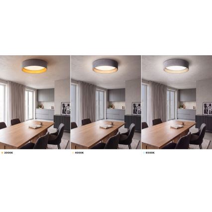 BRILAGI - LED lubų šviestuvas VELVET VARI LED/24W/230V 3000/4000/6500K skersmuo 45 cm pilkas/auksinis